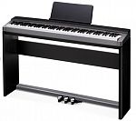 CASIO CS-67PBK